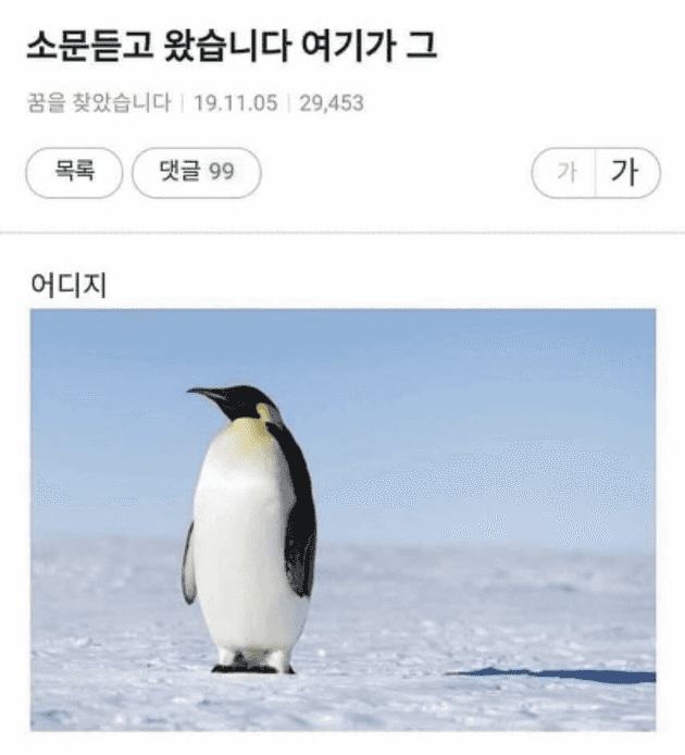 어디지